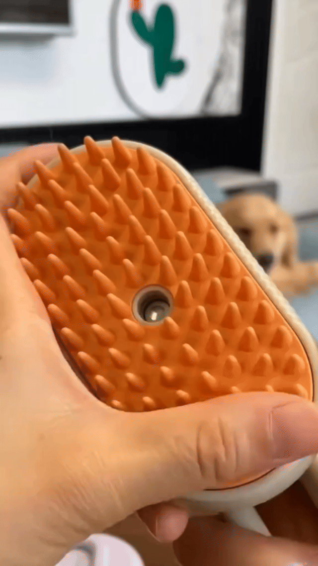 3-in-1 Elektrische Haustierbürste mit Dampf & Massage – USB Aufladbar